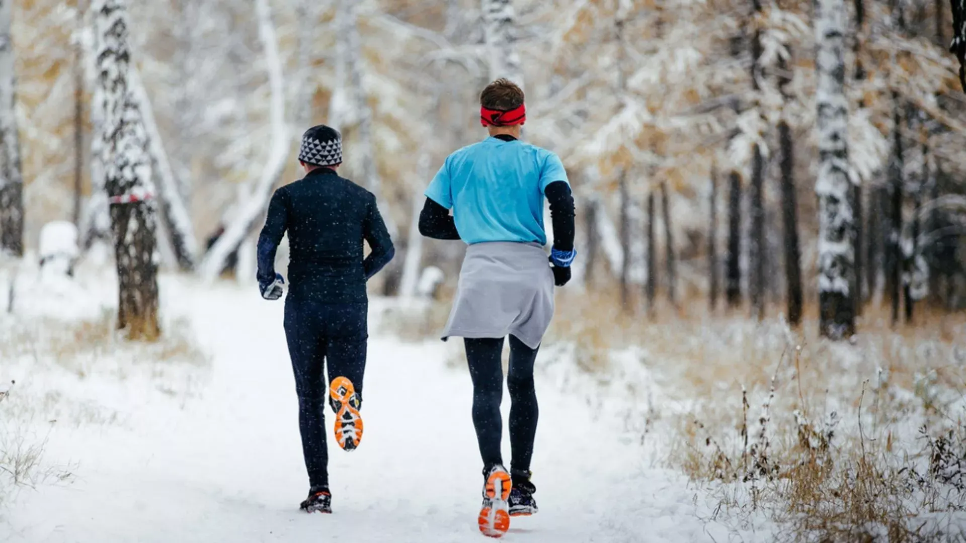 Winter Stiffness