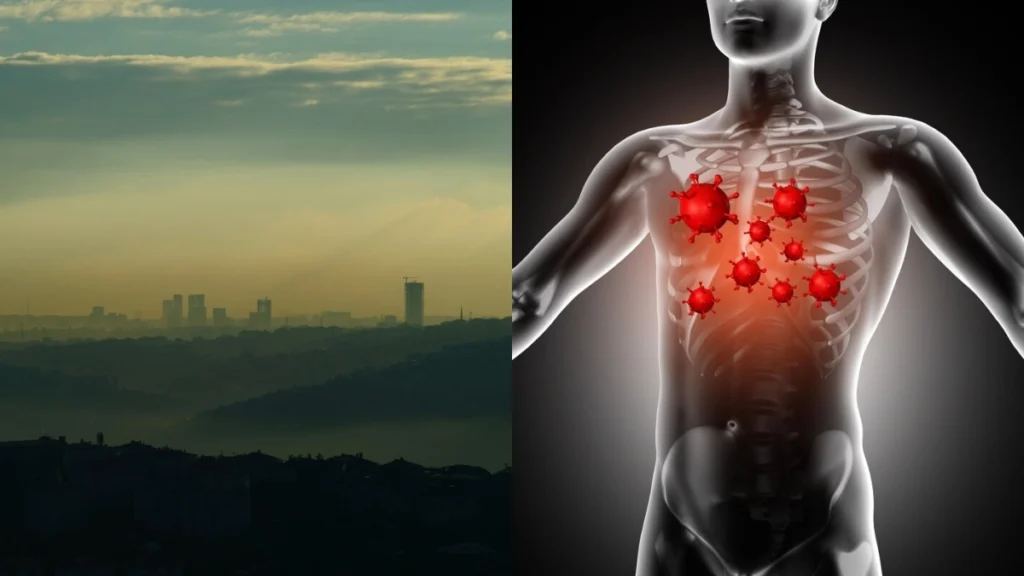 Strengthening Your Body Against Pollution: The Supportive Role of Physiotherapy
