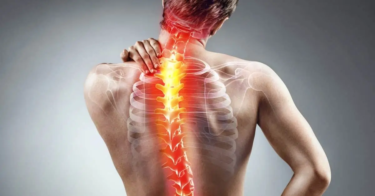 Thoracic Spine
