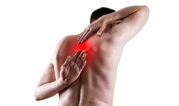 Thoracic Spine